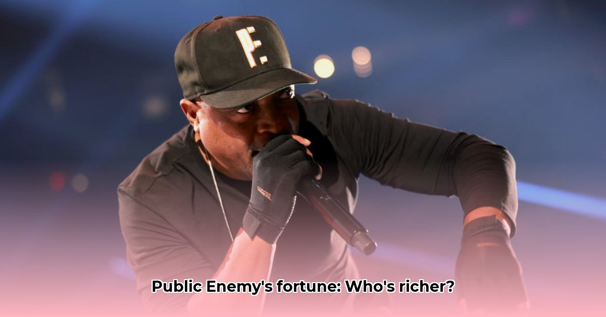 public-enemy-net-worth